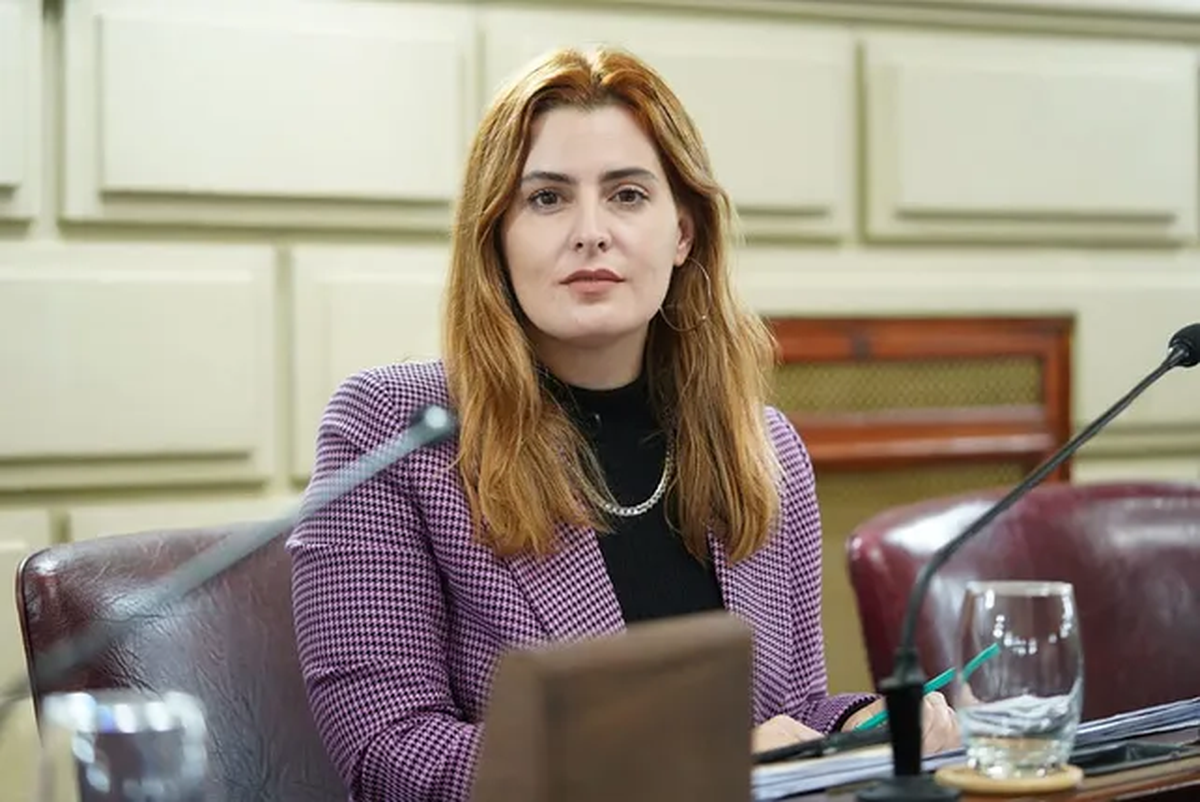 La diputada de Santa Fe pidió celeridad al Consejo de la Magistratura. La diputada de Santa Fe pidió celeridad al Consejo de la Magistratura. 