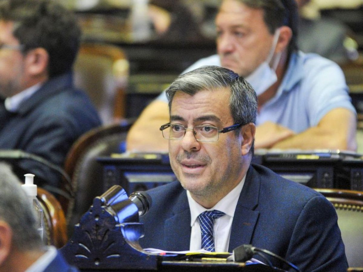 Pese al previo pedido de Germán Martínez, Javier Milei lanzó el DNU. Pese al previo pedido de Germán Martínez, Javier Milei lanzó el DNU. 