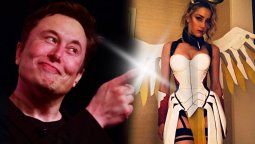 Elon Musk loquillo. Elon Musk loquillo.