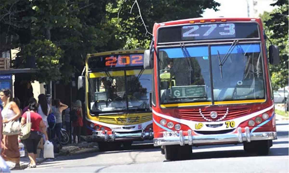 Esperas más largas y unidades llenas: Qué está pasando con los colectivos