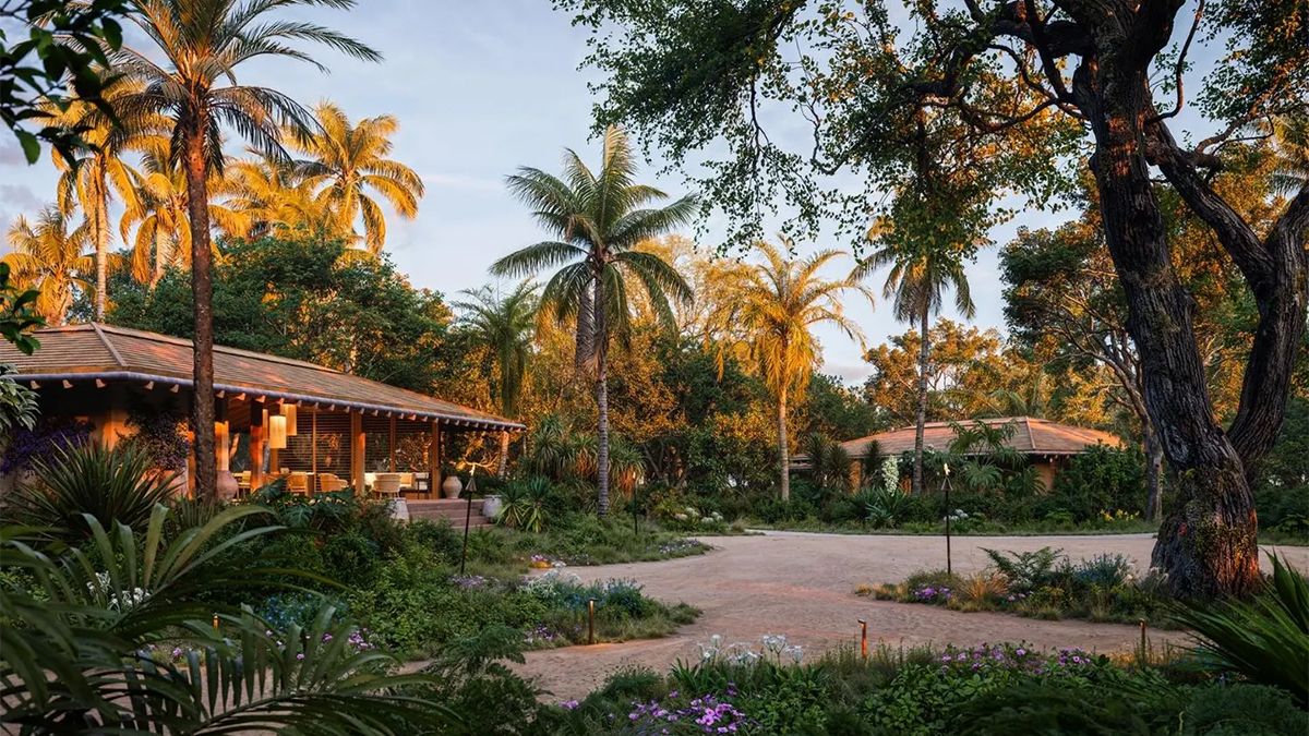 Robert De Niro prepara un ambicioso proyecto turístico que consiste en convertir una playa del Caribe en un paraíso turístico. Robert De Niro prepara un ambicioso proyecto turístico que consiste en convertir una playa del Caribe en un paraíso turístico.