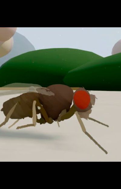 Científicos copiaron el cerebro de una mosca, lo metieron en una PC y cobró vida