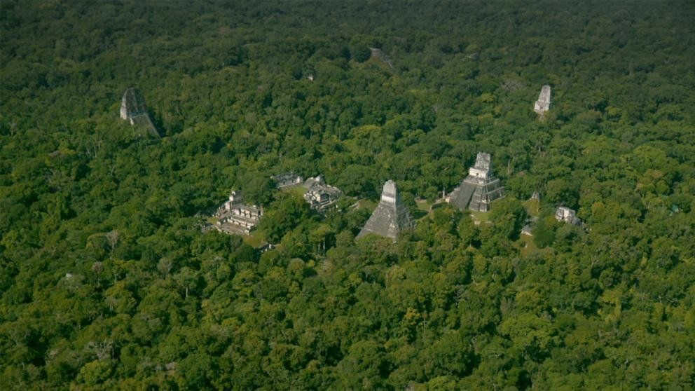 Pirámide maya en la selva de Guatemala.