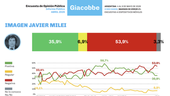 Encuesta: La imagen negativa de Milei supera el 53% y crece el malestar económico