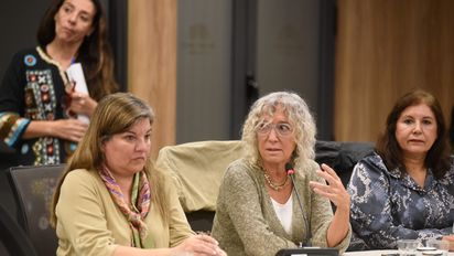 Libertad de Expresión se estrenó con fuertes presiones al mileismo por DTV