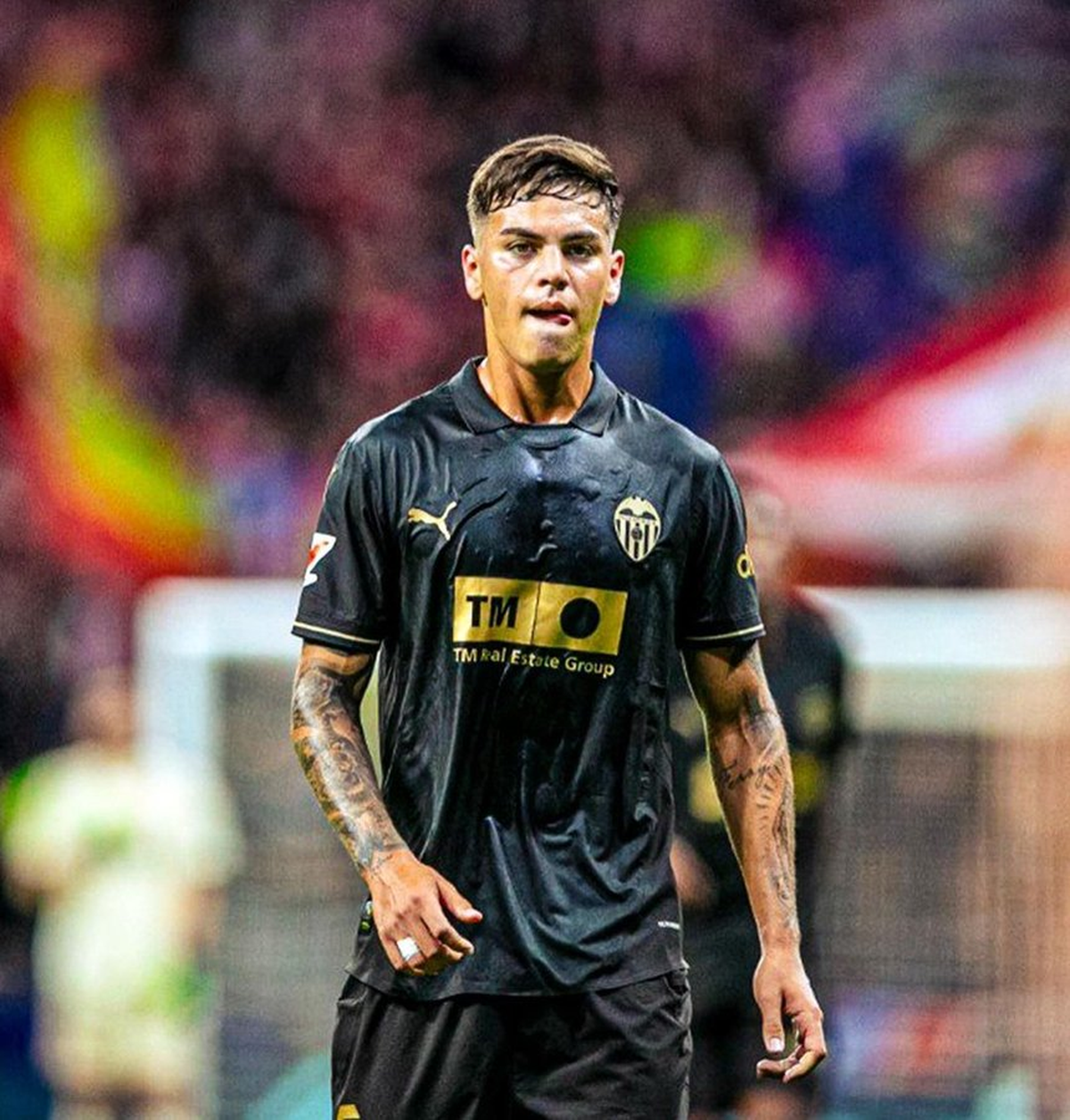 Enzo Barrenechea, la sorpresa de Lionel Scaloni en la lista para las eliminatorias. Enzo Barrenechea, la sorpresa de Lionel Scaloni en la lista para las eliminatorias.