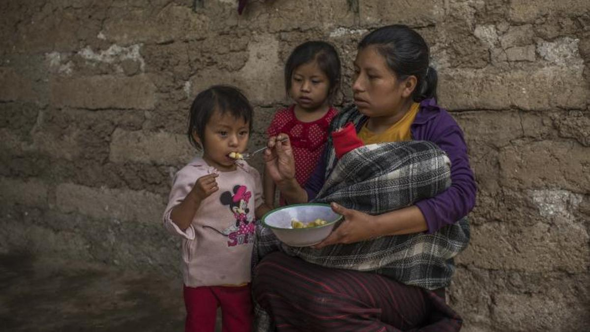 Hacer las necesidades al aire libre convierte en potenciales víctimas de abuso a las mujeres y las niñas. También la falta de saneamiento hace a los niños propensos a enfermedades mortales. Hacer las necesidades al aire libre convierte en potenciales víctimas de abuso a las mujeres y las niñas. También la falta de saneamiento hace a los niños propensos a enfermedades mortales.