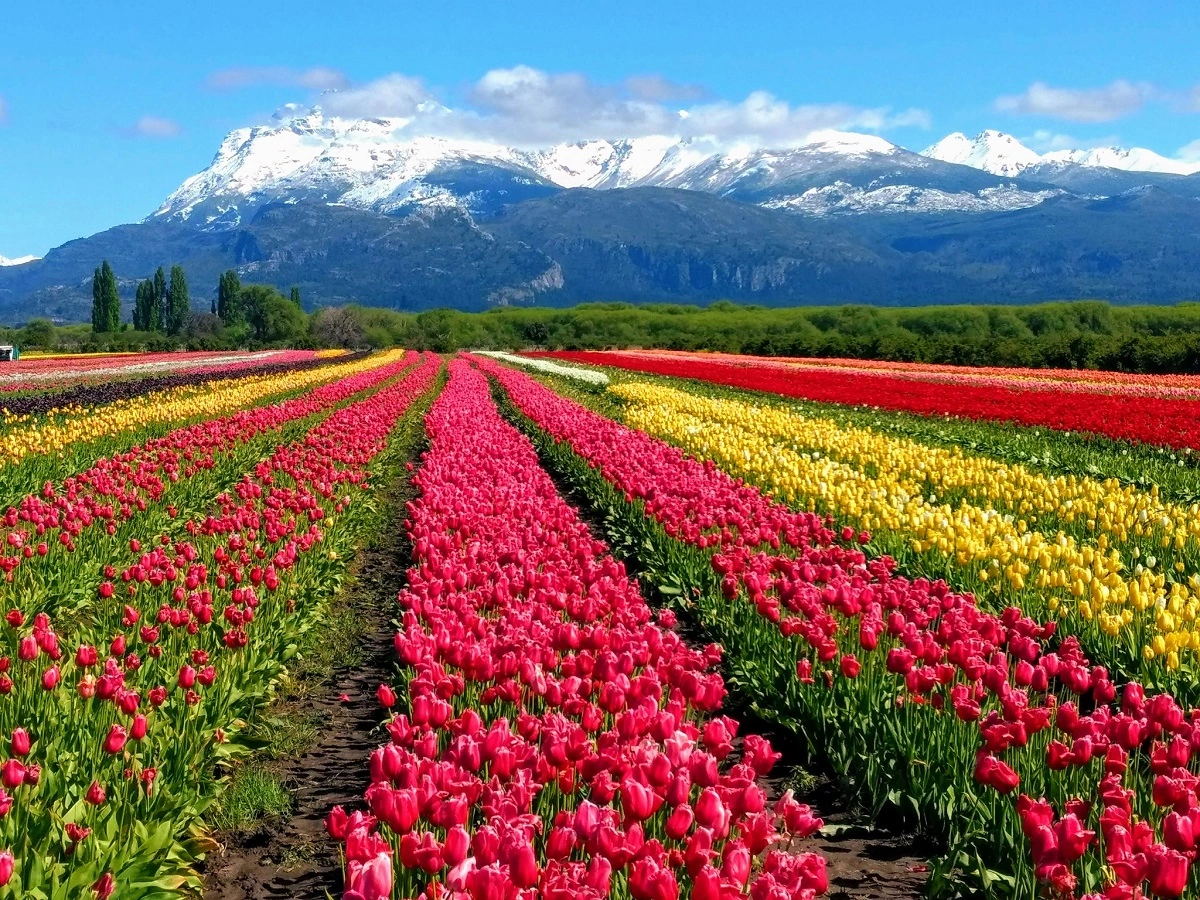 Un paisaje de ensueño al Sur de Argentina.