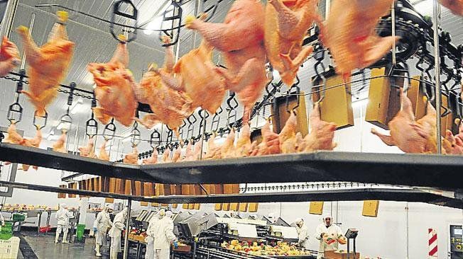 Creció el consumo de pollo en Argentina. Creció el consumo de pollo en Argentina.