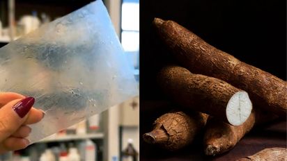 Ciencia: Invento argentino para sustituir el plástico asombra a todos