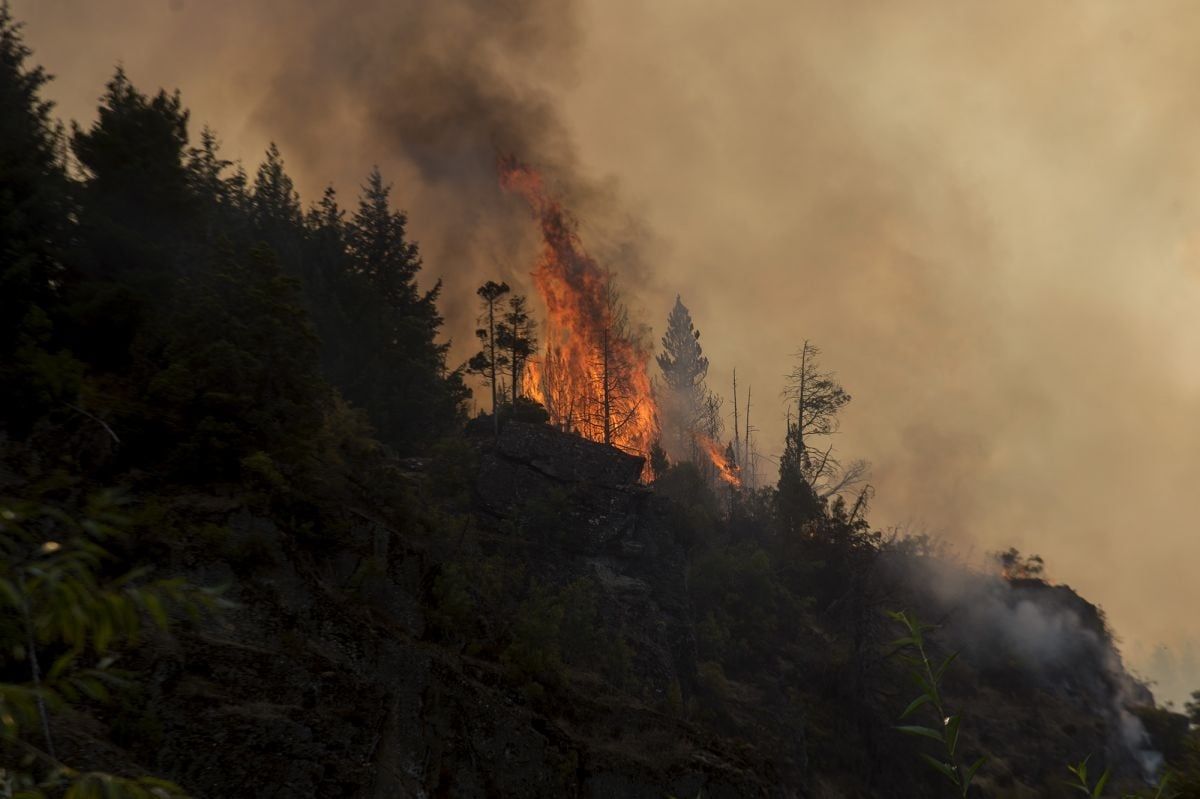 Las llamas afectaron a unas 220 hectáreas de vegetación en El Bolsón.