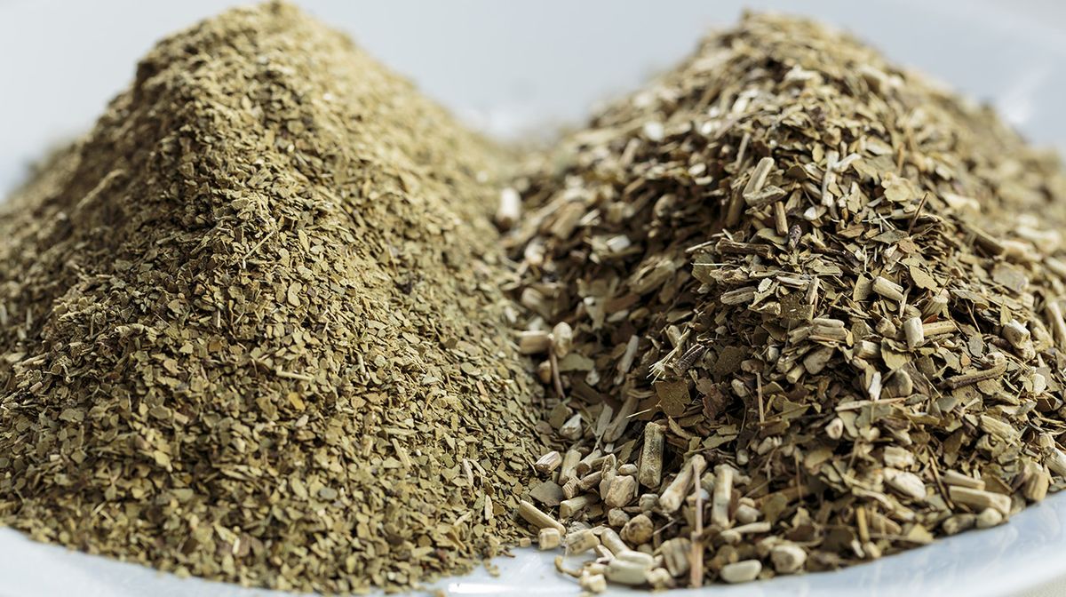 El año pasado, la yerba mate alcanzó un récord histórico de producción y consumo interno, donde retrocedió 2,6% en el primer bimestre de 2022, con respecto a igual período de 2021, según el criticado 'Instituto Nacional de la Yerba Mate (INYM)'.
