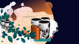 altText(Venezuela consolida su rol como corredor de cocaína imparable, según Insight Crime)}