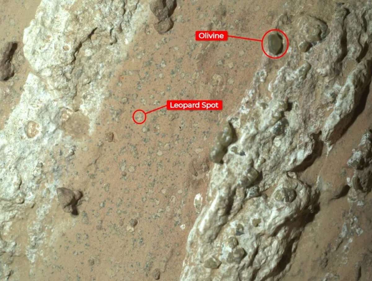 Este descubrimiento marca un hito en la exploración espacial y la búsqueda de vida extraterrestre. Este descubrimiento marca un hito en la exploración espacial y la búsqueda de vida extraterrestre.