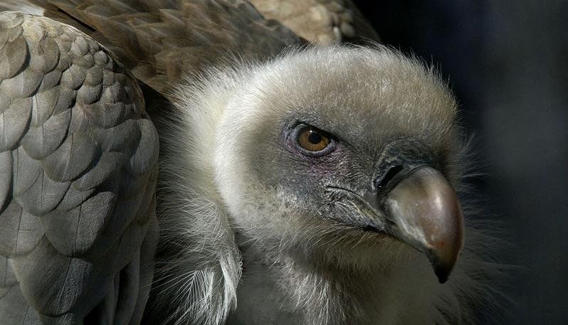Un exBCRA advirtió que existen precedentes preocupantes en Londres.