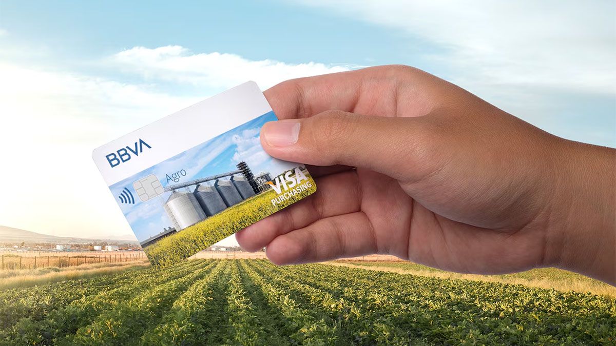 El BBVA se sumó a la Inteligencia Artificial (IA) y lanzó la herramienta de BBVA Agro Advisor para revolucionar el asesoramiento financiero al campo. El BBVA se sumó a la Inteligencia Artificial (IA) y lanzó la herramienta de BBVA Agro Advisor para revolucionar el asesoramiento financiero al campo.