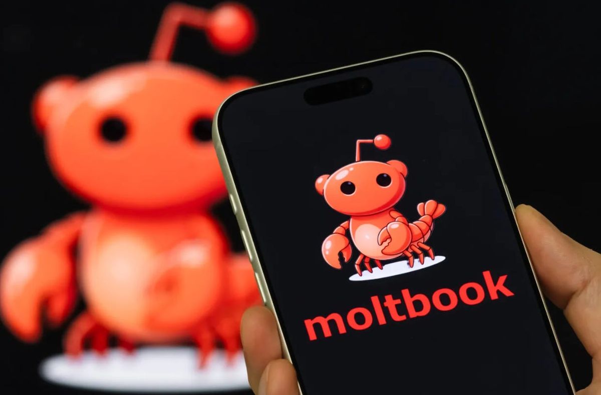 Moltboook es un espejo bastante fiel de nuestras propias ansiedades frente a un cambio que todavía no terminamos de comprender.