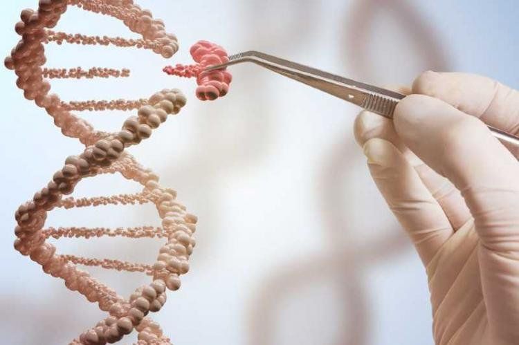 El objetivo final de alcanzar la longevidad es ambicioso: llegar a los 120 años manteniendo la calidad de vida, un hito que la famosa centenaria Jeanne Calment rozó, demostrando que la biología (genética) y el placer no siempre tienen que estar reñidos El objetivo final de alcanzar la longevidad es ambicioso: llegar a los 120 años manteniendo la calidad de vida, un hito que la famosa centenaria Jeanne Calment rozó, demostrando que la biología (genética) y el placer no siempre tienen que estar reñidos