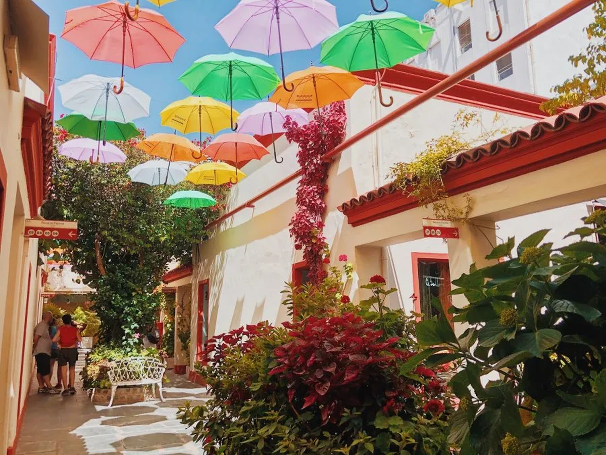 Hay locales de diseño, de indumentaria, de arte y de antigüedades para el turismo.