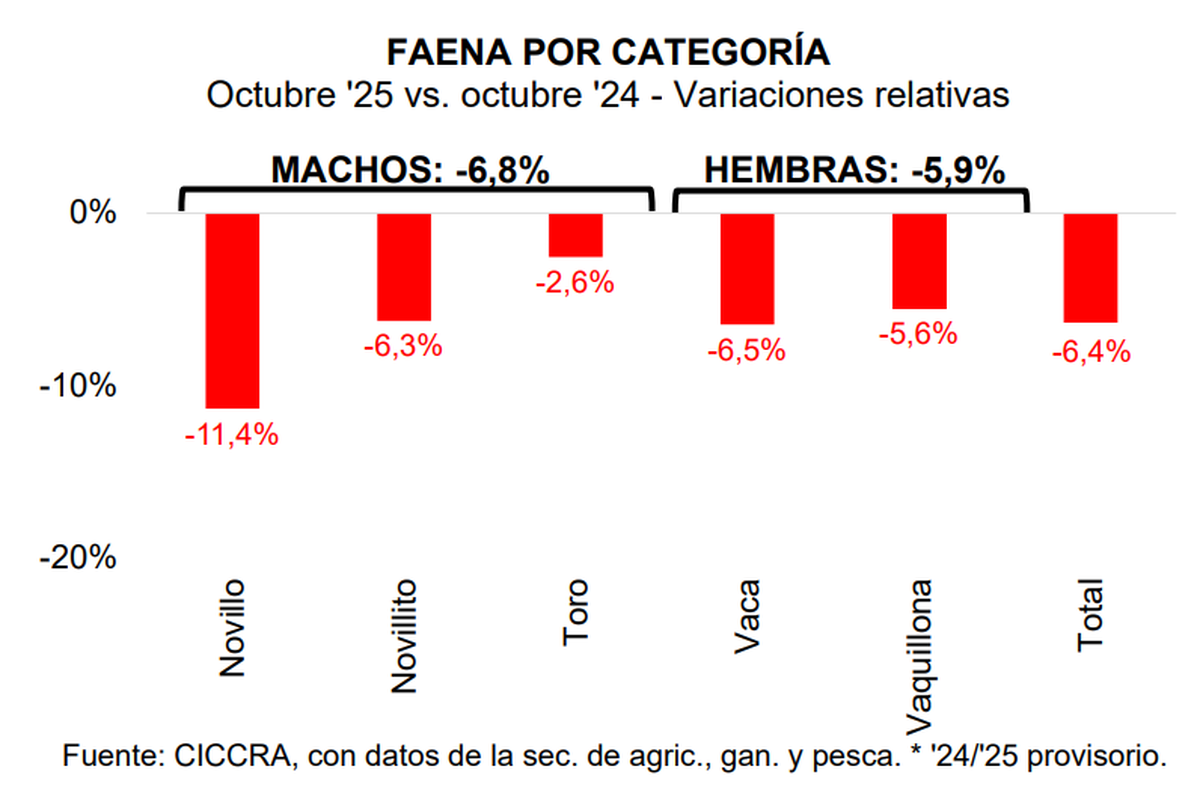 Faena de carne en octubre 2025 vs octubre 2024. fuente: CICCRA. Faena de carne en octubre 2025 vs octubre 2024. fuente: CICCRA.
