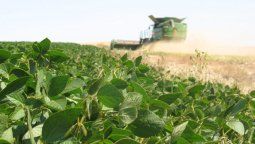 altText(Virestina, nuevo herbicida de Syngenta que prueba en la Argentina)}