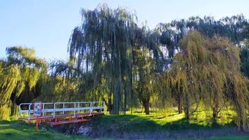 Buenos Aires y uno de sus pueblos más lindos.(Foto: Gobierno Gonzales Chaves). Buenos Aires y uno de sus pueblos más lindos.(Foto: Gobierno Gonzales Chaves).