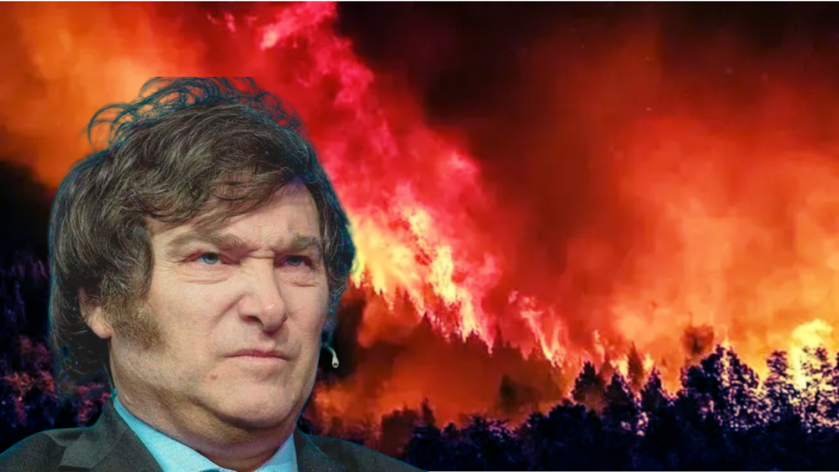 “Faltó la decisión de mitigar, adaptar, prevenir, equipar, instruir y dedicar más recursos y mentes al tema, por lo tanto, [también] inversión y coordinación con las provincias. La declaración de emergencia surgió cuando ya habíamos perdido 40.000 hectáreas solo en la provincia de Chubut”, afirmó Nápoli a Mongabay Latam.&nbsp; &nbsp;