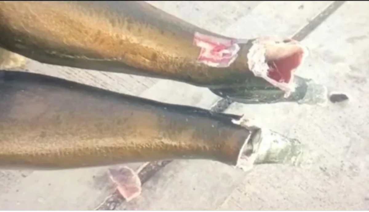 Imagen de cómo quedó la estatua de Cristina Kirchner.