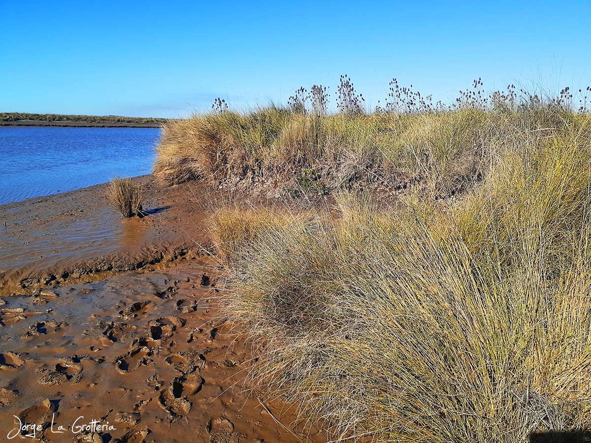 Espartillo, imprescindible conocerlo para entender la humareda.