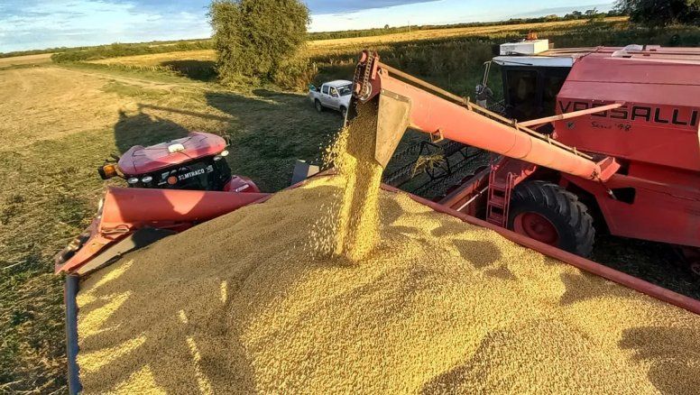 La guerra por acaparar el mercado de la soja tiene un claro líder