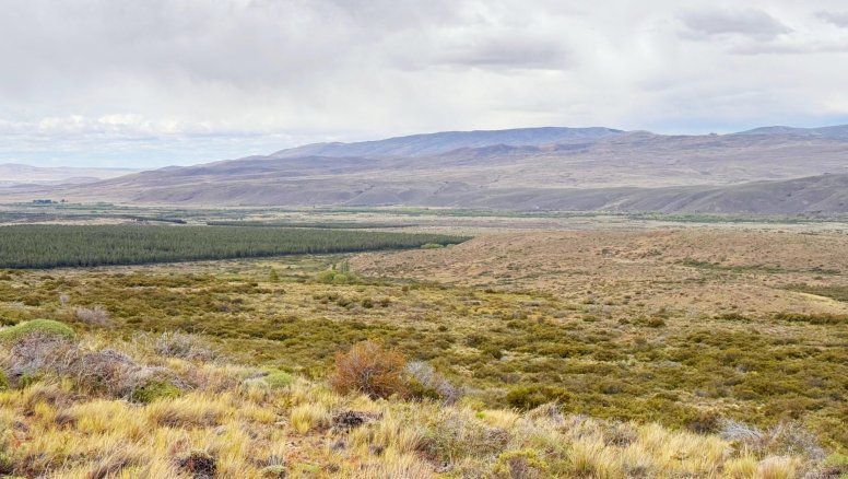 El nuevo negocio que gana tracción en la Patagonia