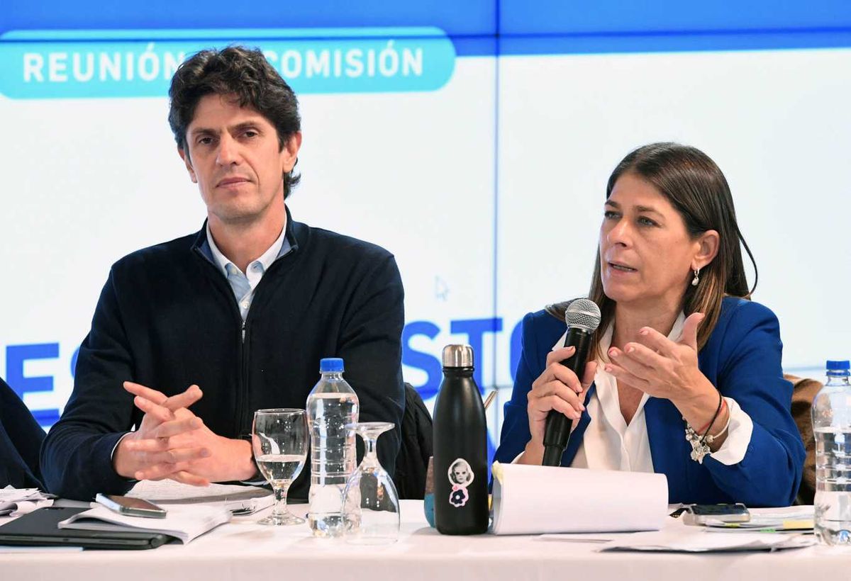 Muy sólidos ambos, los senadores Martin Lousteau y Guadalupe Tagliaferri en la Comisión de Presupuesto y Hacienda, en el salón Azul del Senado de la Nación. Foto NA Muy sólidos ambos, los senadores Martin Lousteau y Guadalupe Tagliaferri en la Comisión de Presupuesto y Hacienda, en el salón Azul del Senado de la Nación. Foto NA