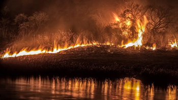 Arde el FdT por posiciones opuestos entre el ministro de Ambiente Cabandié y el secretario de Agricultura Bahillo. Arde el FdT por posiciones opuestos entre el ministro de Ambiente Cabandié y el secretario de Agricultura Bahillo.