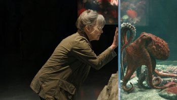 La película que destronó a todas y se adueñó de Netflix