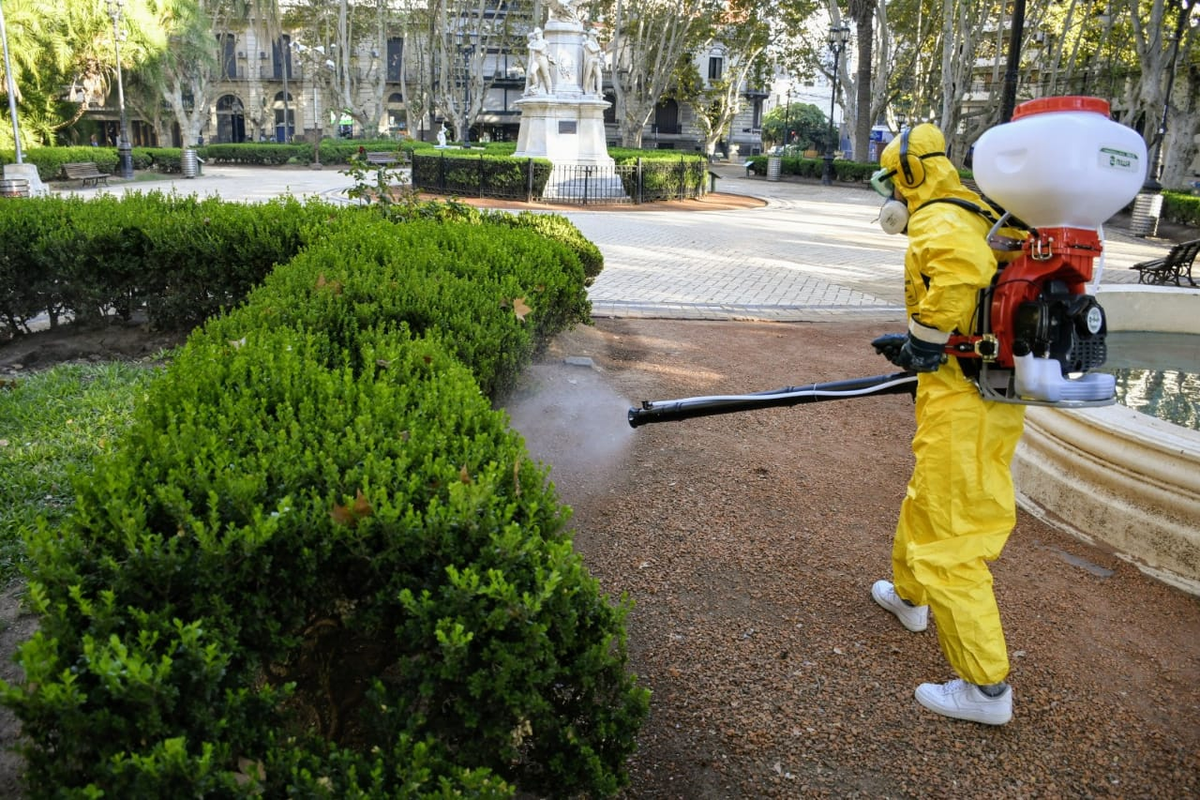En Rosario los casos descienden pero las alarmas siguen prendidas. En Rosario los casos descienden pero las alarmas siguen prendidas. 