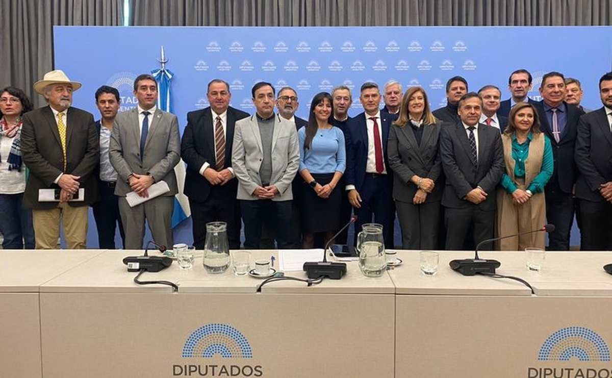 La Red Federal de Intendentes vuelve a la carga por Nación. La Red Federal de Intendentes vuelve a la carga por Nación. 