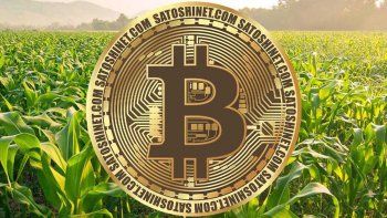 Las criptos llegaron para quedarse. Las criptos llegaron para quedarse.