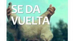 Repudian el insólito spot de JxC: Excelente idea usar a un nene maltratando un animal