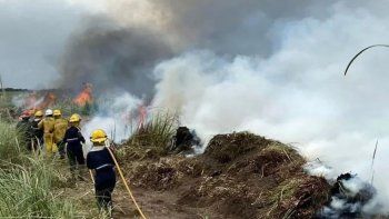 Los bomberos buscan apagar las llamas que consumen los bosques de Villa Gesell Los bomberos buscan apagar las llamas que consumen los bosques de Villa Gesell