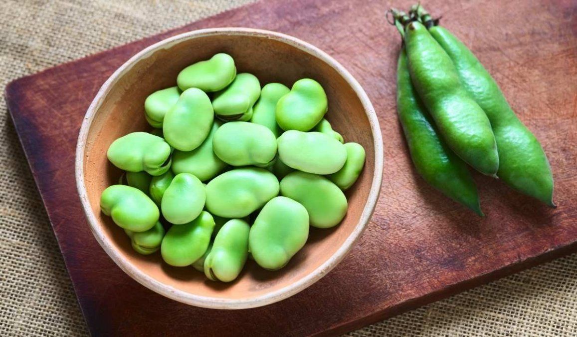 Haba: ¿Cómo este alimento puede ayudar a la salud de tus huesos?