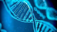 Dieta y nutrigenómica. ¿Deberías tener en cuenta tus genes a la hora de comer? Dieta y nutrigenómica. ¿Deberías tener en cuenta tus genes a la hora de comer?