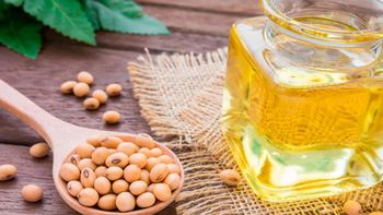¿Por qué deberías limitar este alimento si tienes problemas de intestinos? ¿Por qué deberías limitar este alimento si tienes problemas de intestinos?