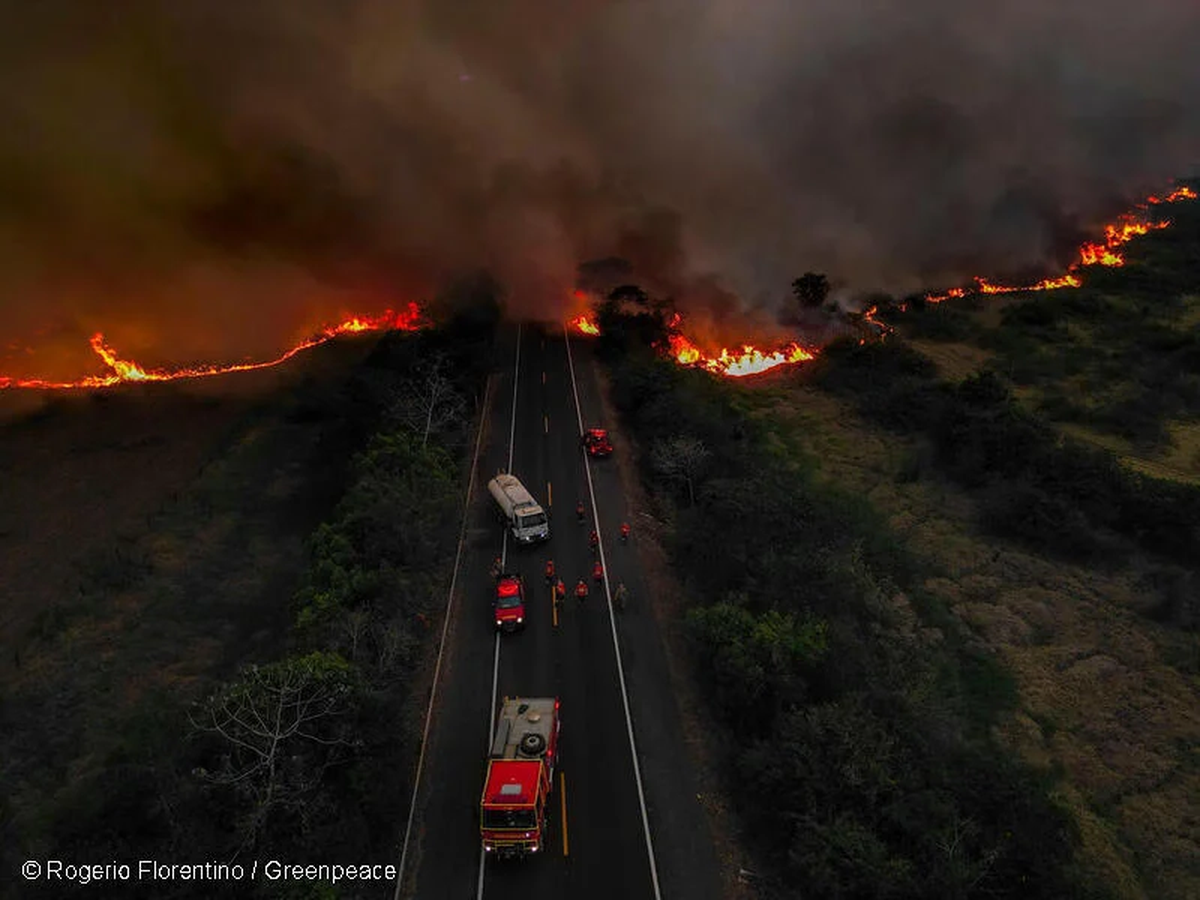 Mato Grosso do Sul, en la parte sur del Pantanal. Impactos de los incendios que devastan el bioma en su biodiversidad y en la vida de las personas. Mato Grosso do Sul, en la parte sur del Pantanal. Impactos de los incendios que devastan el bioma en su biodiversidad y en la vida de las personas.