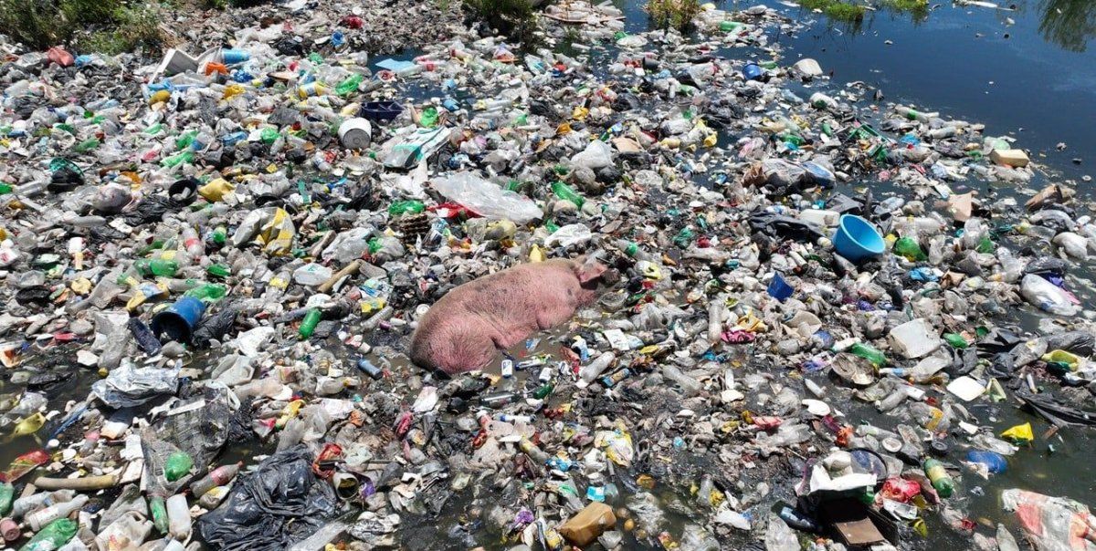 Santa Fe tiene un serio problema con la basura.
