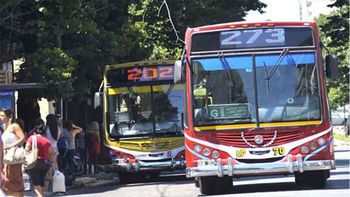 Colectivos: Milei abrió la billetera y entrega más subsidios para evitar un paro
