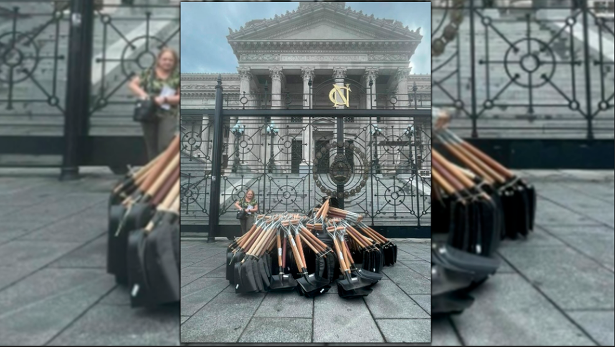 Damas y caballeros, ante ustedes, las 256 palas en persona. 