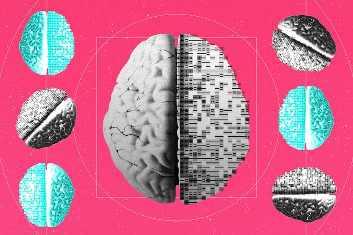 La startup estudia neuronas, memoria y circuitos cerebrales para identificar principios biológicos aplicables a la IA. El desafío es enorme, pero el potencial impacto tecnológico y económico también. Foto: Wired La startup estudia neuronas, memoria y circuitos cerebrales para identificar principios biológicos aplicables a la IA. El desafío es enorme, pero el potencial impacto tecnológico y económico también. Foto: Wired