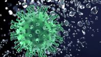 El norovirus enciende las alarmas en los Juegos Olímpicos de Invierno: Qué sabemos hasta ahora. El norovirus enciende las alarmas en los Juegos Olímpicos de Invierno: Qué sabemos hasta ahora.