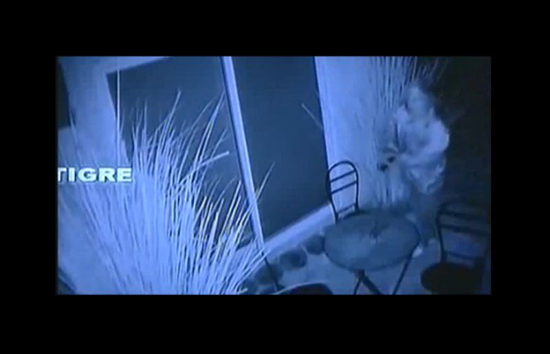 Imagen del asaltante difundida por el intendente de Tigre este lunes.