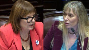 Ni Una Menos: Fuerte cruce entre Di Tullio y Bullrich en el Senado